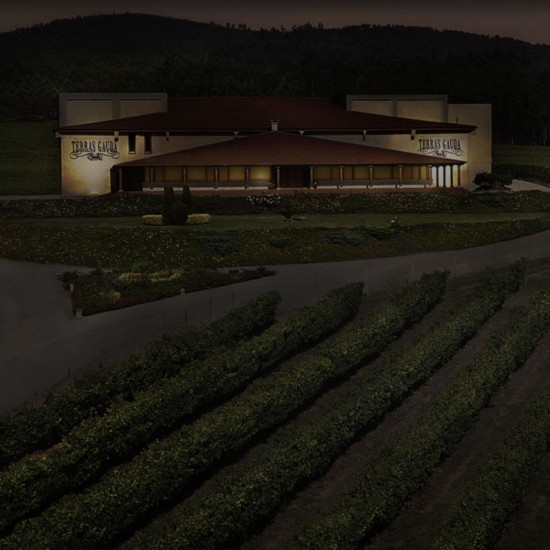 Bodegas Terras Gauda