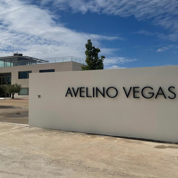 Bodegas Avelino Vegas